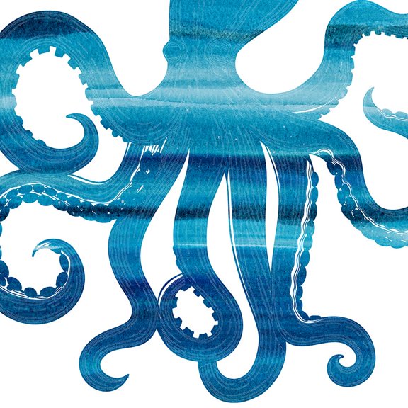 Ombre Octopus Reverse Poster Print - Kimberly Allen (24 x 24)