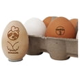 thumbnail image 1 of Omega 3 Healthy Enriched Nutritious Egg Egg Chicken Rubber Stamp - Small 3/4 Inch, 1 of 7