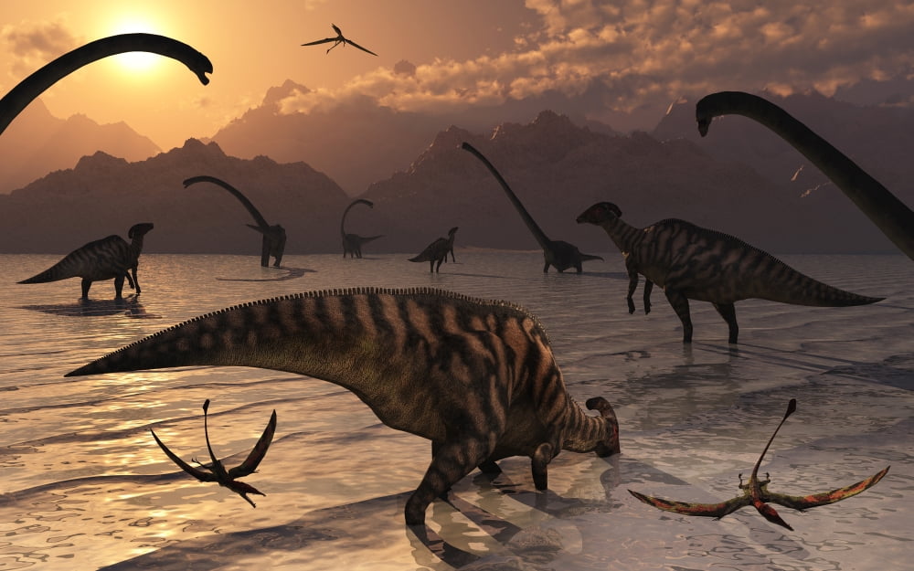 Omeisaurus and Parasaurolphus dinosaurs gather together Canvas Art - Mark StevensonStocktrek Images (18 x 12)
