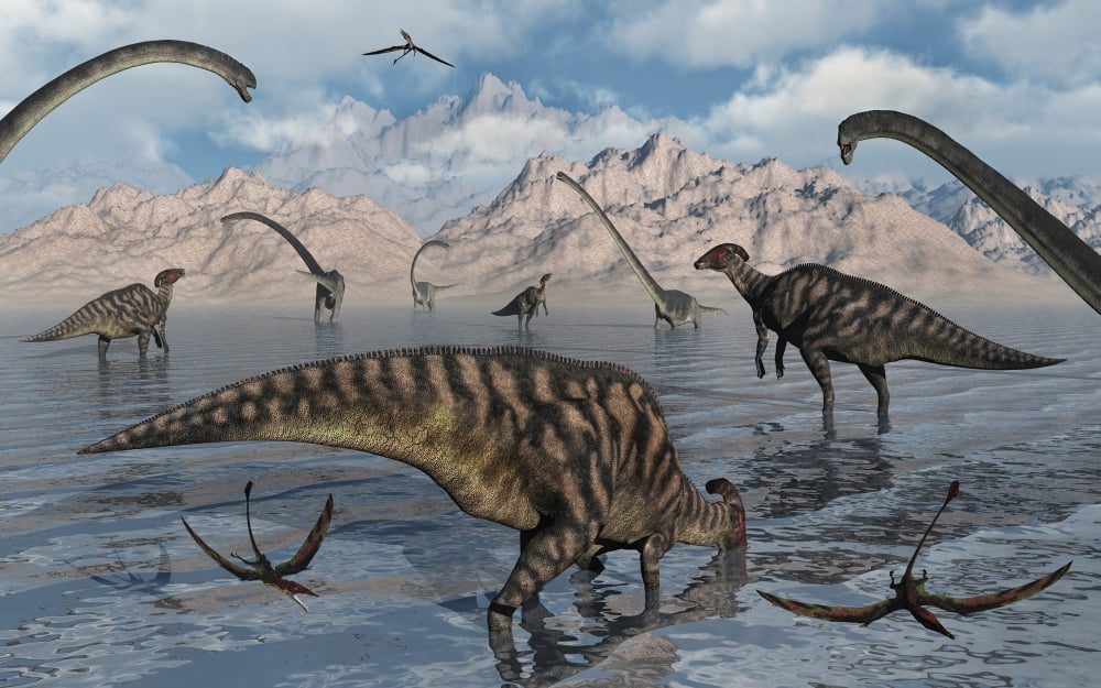 Omeisaurus and Parasaurolphus dinosaurs gather together Canvas Art - Mark StevensonStocktrek Images (36 x 23)