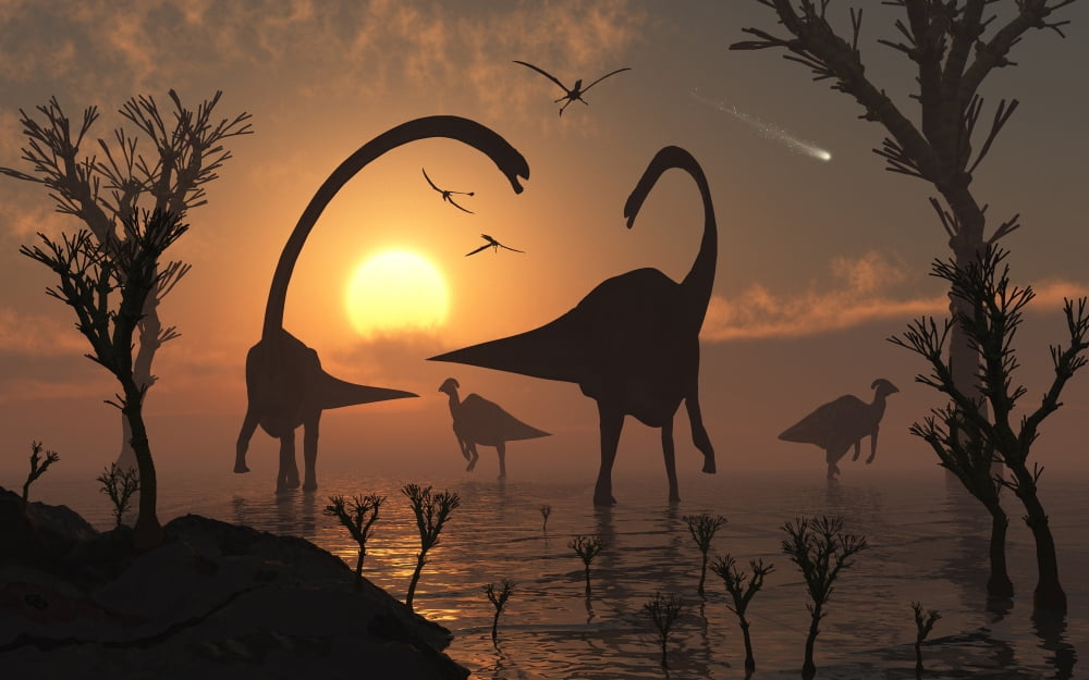 Omeisaurus and duckbill dinosaurs graze in a freshwater lake Canvas Art - Mark StevensonStocktrek Images (18 x 12)