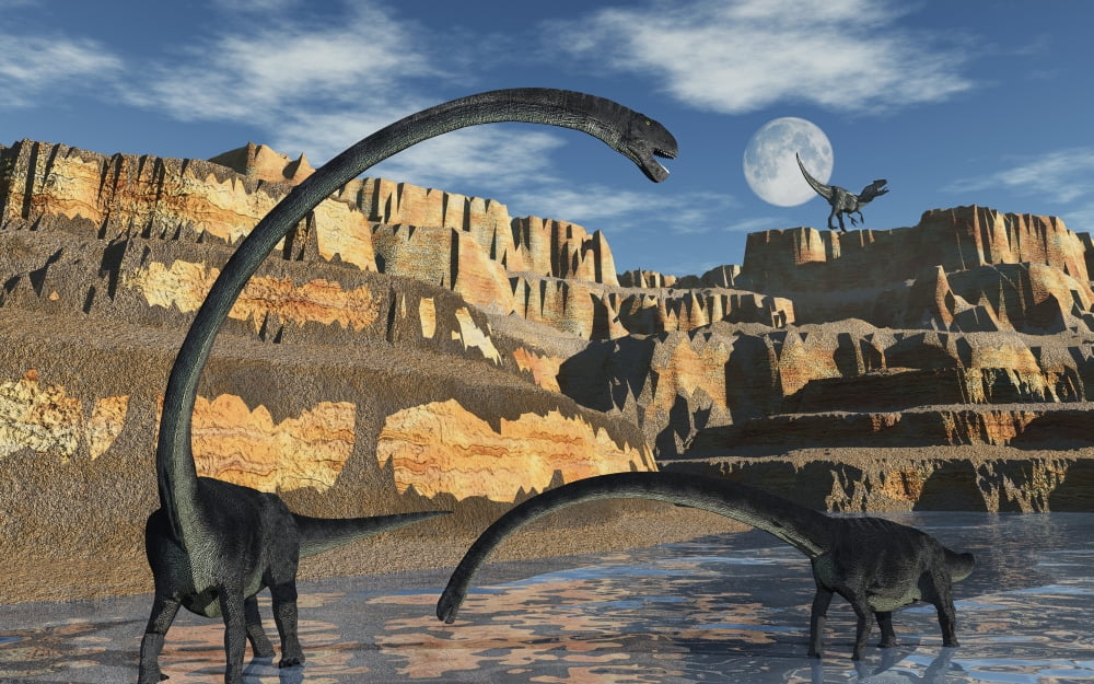 Omeisaurus dinosaurs being stalked by a carnivorous predator Canvas Art - Mark StevensonStocktrek Images (36 x 23)