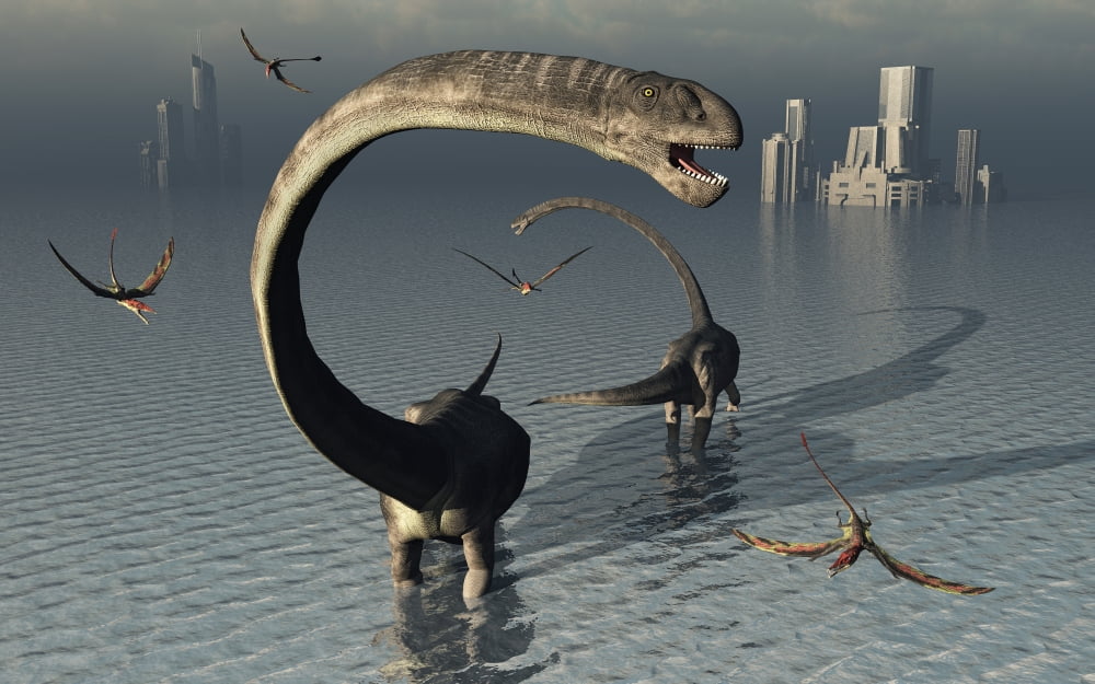 Omeisaurus sauropod dinosaurs cooling off in the Jurassic waters of what is now China Canvas Art - Mark StevensonStocktrek Images (36 x 23)