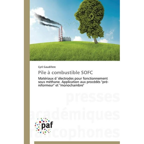 Omn.Pres.Franc.: Pile À Combustible Sofc (Paperback)