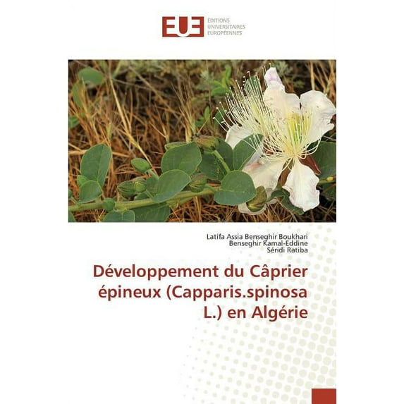 Omn.Univ.Europ.: Développement Du Câprier Épineux (Capparis.Spinosa L.) En Algérie (Paperback)