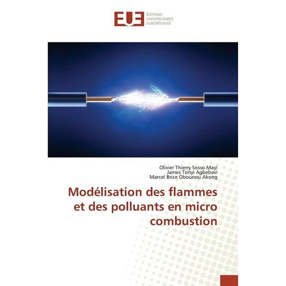 Omn.Univ.Europ.: Modélisation Des Flammes Et Des Polluants En Micro Combustion (Paperback)