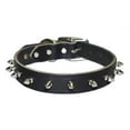 thumbnail image 1 of Omni Pet 445-10852 Omni Pet No.100LK-BK24 Leather Spiked 1-Ply Latigo Collar 1inx 24in Color Black, 1 of 1