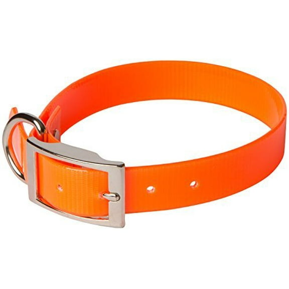 OmniPet Sunglo Regular Dog Collar, 1 x 21, Orange