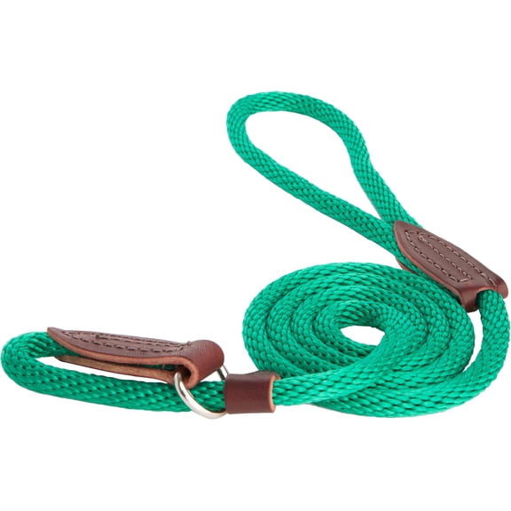 OmniPet 6-Feet Slip Lead for Dogs, X-Small, Green