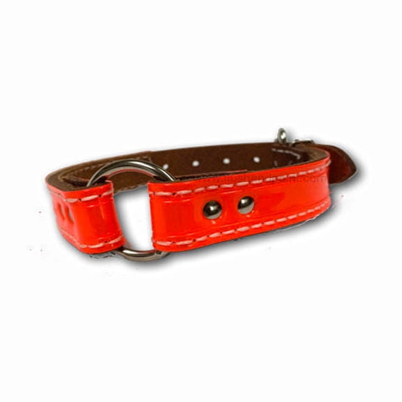 OmniPet Leather 1" Reflective Center Ring Collar