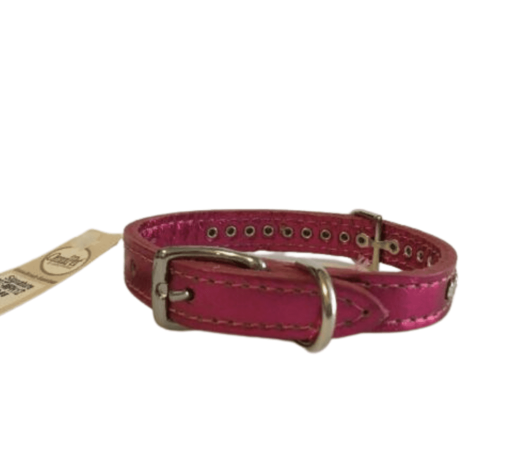 Omnipet signature shop leather dog collar