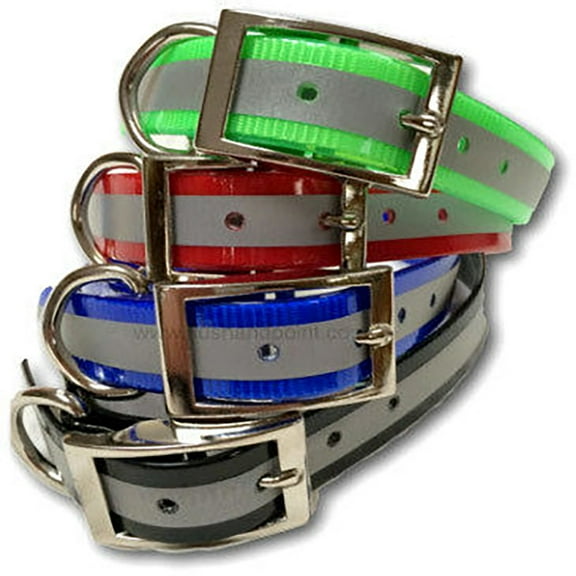 OmniPet Sunglo Reflective Regular Dog Collar, 1 x 19 in., Red