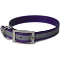 thumbnail image 1 of OmniPet Sunglo Reflective Regular Dog Collar, 1 x 25, Purple, 1 of 1