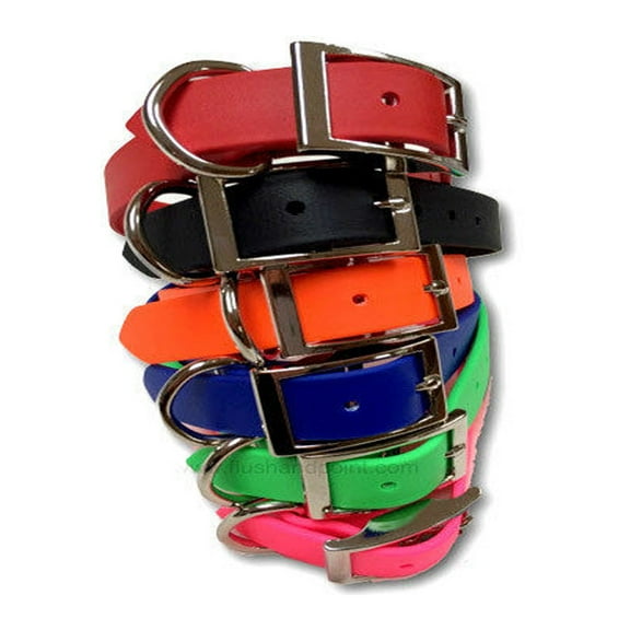 OmniPet Zeta Regular Dog Collar with ring, 1' x 20"- Black