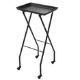 thumbnail image 1 of OmySalon Salon Tray on Wheels Folding Color Trays for Salon, Aluminium Rolling Trolley Cart Mobile Hair Cart for Cosmetology Stylist Hairdresser Tattoo, Beauty Spa Service Storage Station, 1 of 3