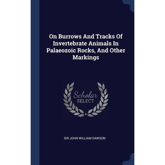 On Burrows And Tracks Of Invertebrate Animals In Palaeozoic Rocks, And Other Markings