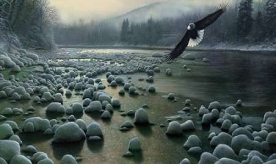 On Eagle Wings Canvas Art - Kevin Daniel (12 x 18)