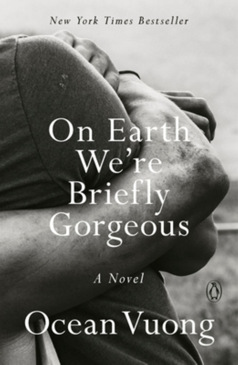 On Earth We're Briefly Gorgeous: A Novel (Paperback)