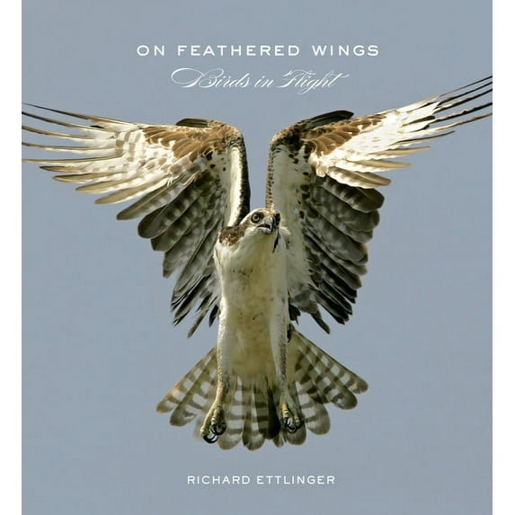 On Feathered Wings : Birds in Flight (Hardcover)