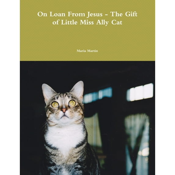 On Loan from Jesus - The Gift of Little Miss Ally Cat, (Paperback)