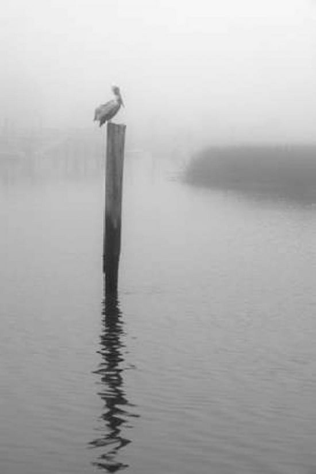 On Pelican Marsh Canvas Art - Winthrope Hiers (12 x 18)