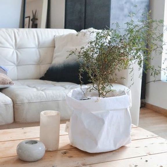 On Sale Storage Case Myvepuop Washable Kraft Paper Bag Plant Flowers Pots Multifunction Home Storage Bag White,1 Pc Kraft Paper Bag Storage Bag