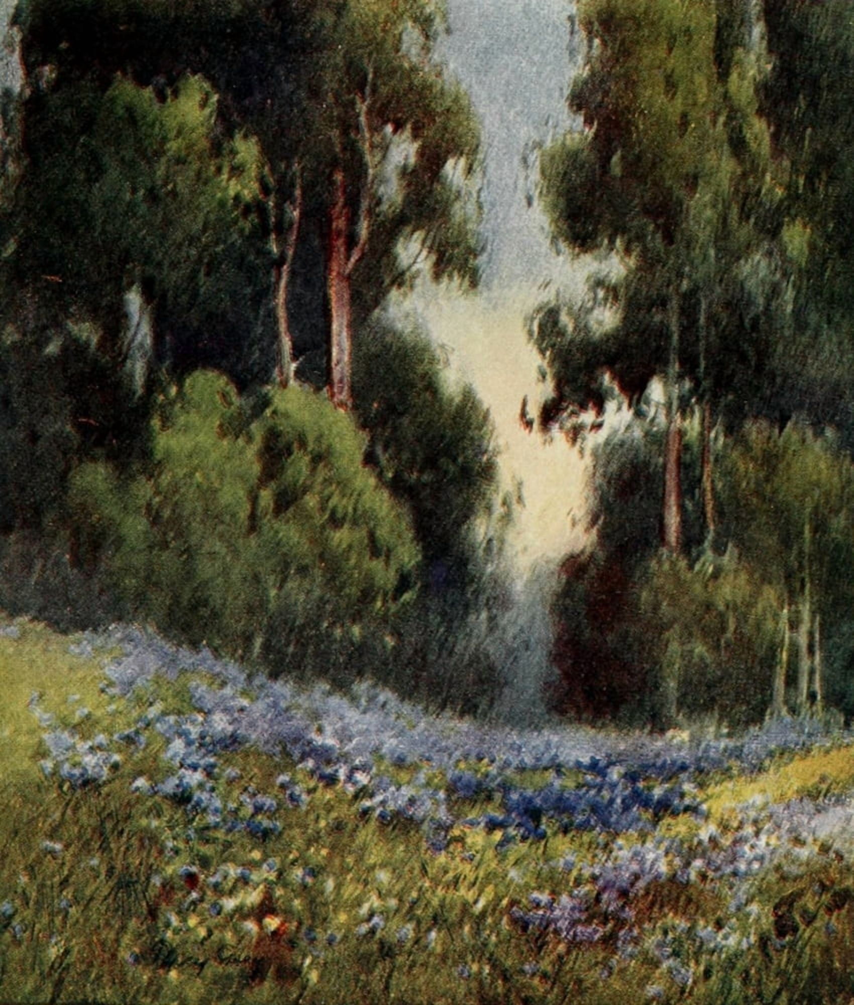 On Sunset Highways 1921 A forest glade California Canvas Art - Henry Percy Gray (18 x 24)