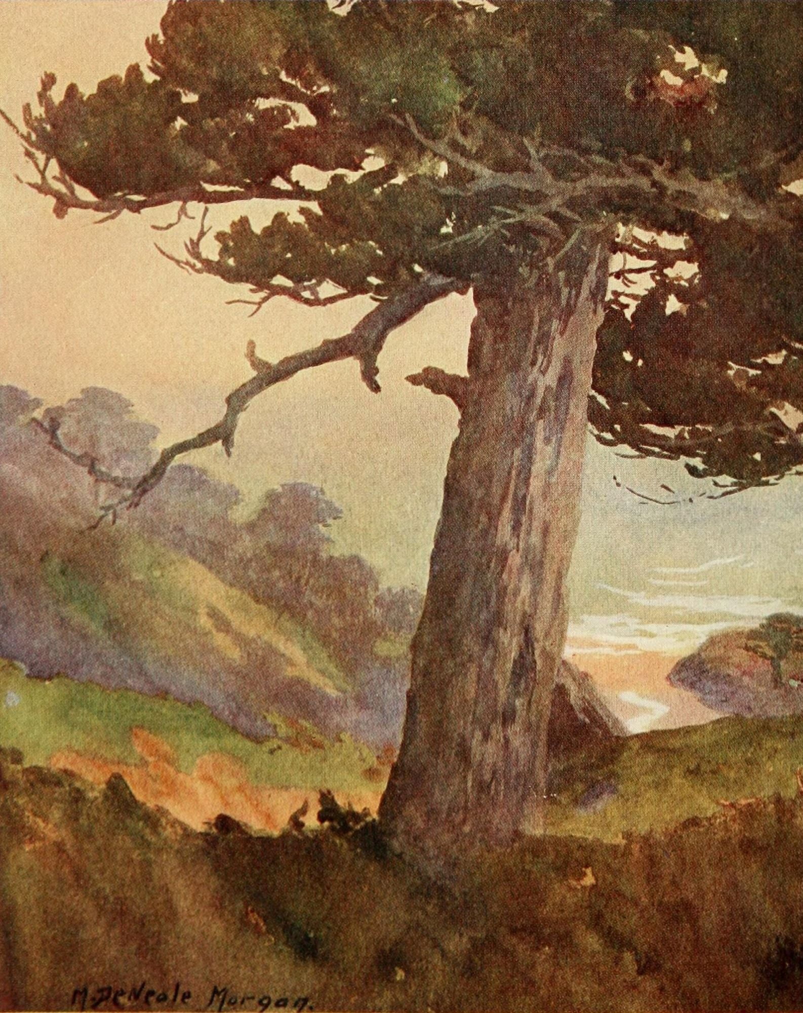 On Sunset Highways 1921 Gate of Val Paiso Canyon Monterey Canvas Art - Mary DeNeale Morgan (18 x 24)