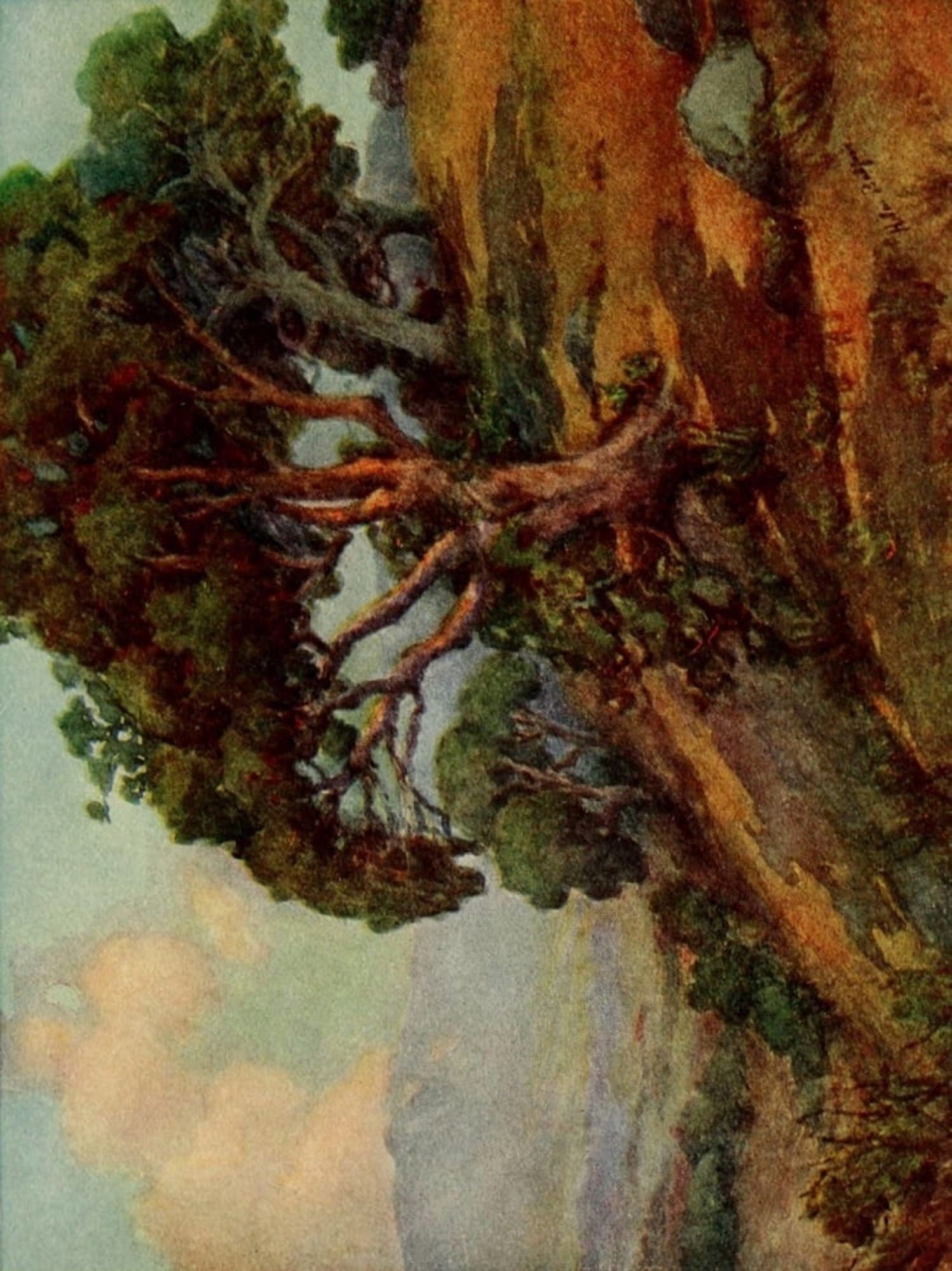 On Sunset Highways 1921 Hillside near Monterey Canvas Art - Helen Johnston Balfour (18 x 24)
