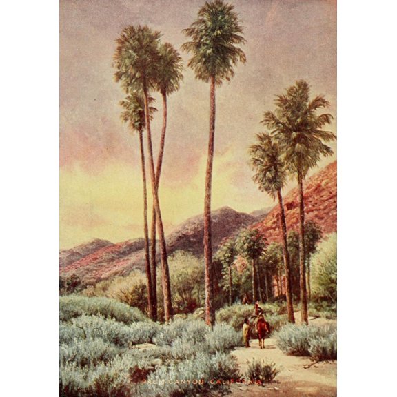 On Sunset Highways 1921 Palm Canyon California Canvas Art - Henry H Bagg (18 x 24)