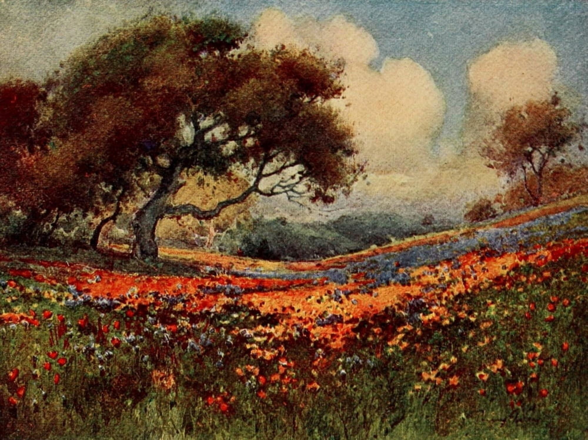 On Sunset Highways 1921 Poppies & Lupines Canvas Art - Henry Percy Gray (18 x 24)