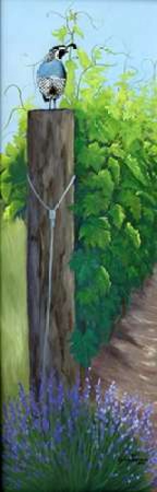 On Top Canvas Art - Julie Peterson (8 x 24)