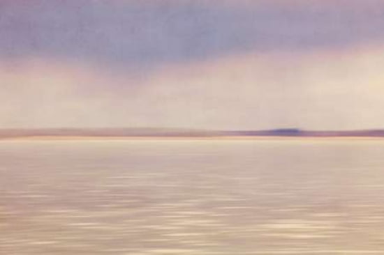 On the Fringes Canvas Art - Roberta Murray (20 x 28)