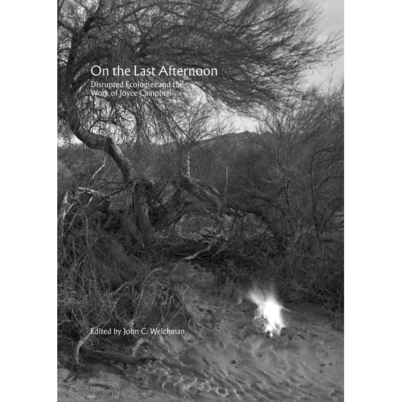 On the Last Afternoon : Disrupted Ecologies and the Work of Joyce Campbell (Paperback)