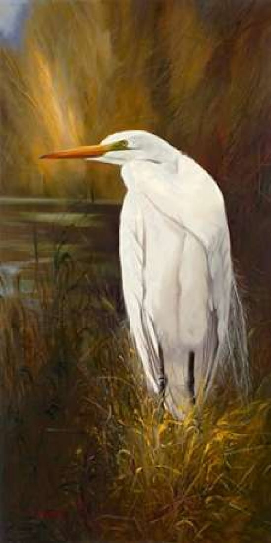 On the Lookout Canvas Art - Arcobaleno (24 x 48)