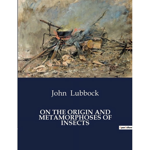 On the Origin and Metamorphoses of Insects: The Evolution and transition of Insect Life Stages, (Paperback)