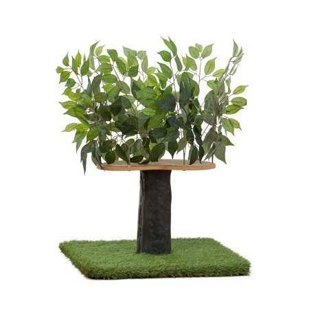 On2Pets 2ft Interchangeable Leaves Cat Activity Tree, Indoor Cat Tower, Comfy Cat Condo with Scratching Pads