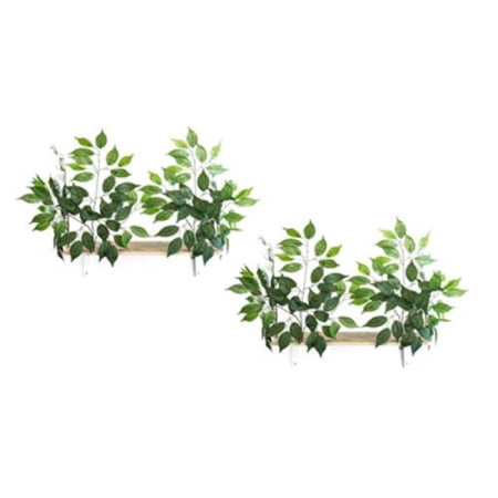 On2Pets Interchangeable Leaves Curved Wall Mounted Cat Perch Set with Clip-on Branches, 2 Pack