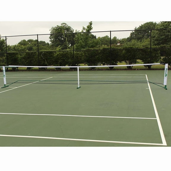 Oncourt Offcourt Steel Oval Tube System PickleNet with Carry Bag