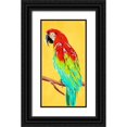 thumbnail image 1 of OnRei 11x18 Black Ornate Wood Framed with Double Matting Museum Art Print Titled - Fun Parrot 2, 1 of 4