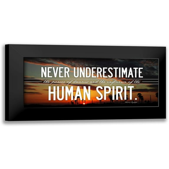 OnRei 14x8 Black Modern Framed Museum Art Print Titled - Human Spirit