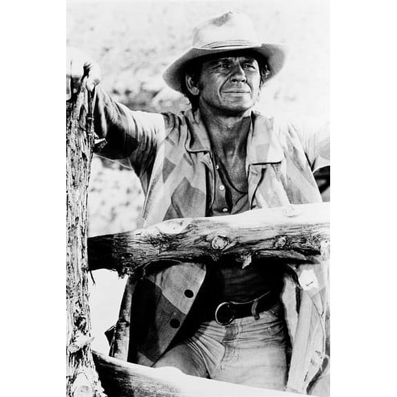 Once Upon a Time In West Charles Bronson 24X36 Poster