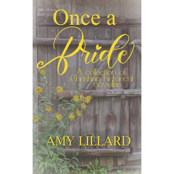 Once a Bride (Paperback)