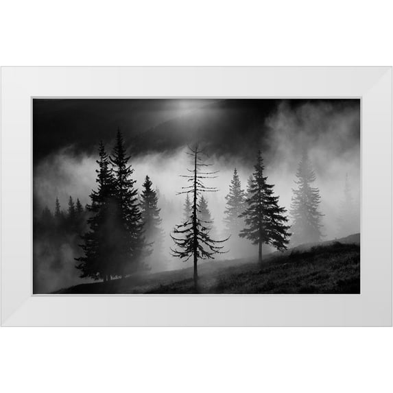 Oncete, Julien 24x16 White Modern Wood Framed Museum Art Print Titled - Misty Forest