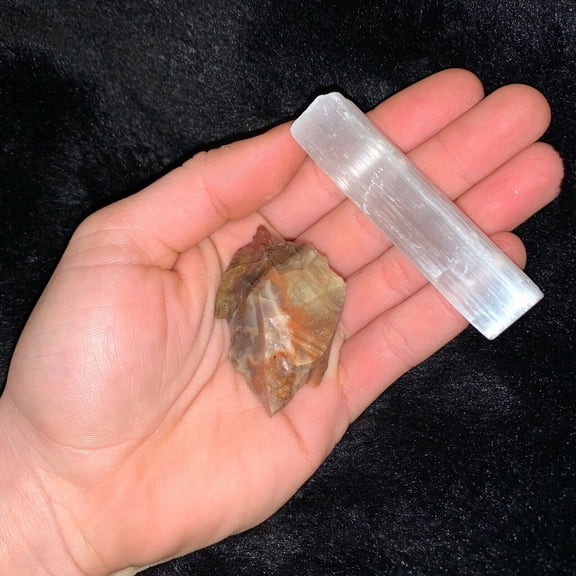 One (1) Charged Petrified Wood Rough Gemstone + A FREE Selenite Charging Stick