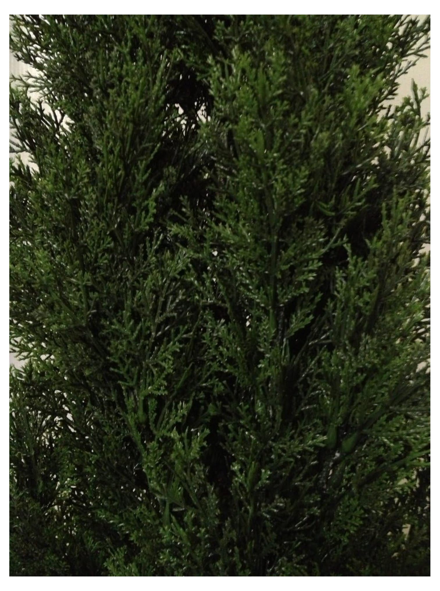 One 4 Foot Outdoor Artificial Cedar Topiary Tree Indoor or Outdoor