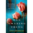 thumbnail image 1 of Pre-Owned One Amazing Thing (Paperback) 1401341586 9781401341589, 1 of 1