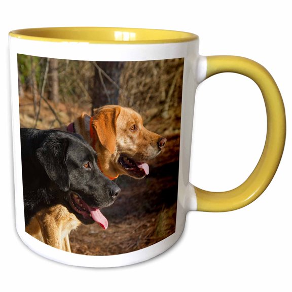 3drose, One Black and One Yellow Labrador Retriever, 11oz Two-tone Yellow Mug