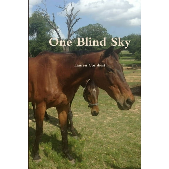 One Blind Sky, (Paperback)