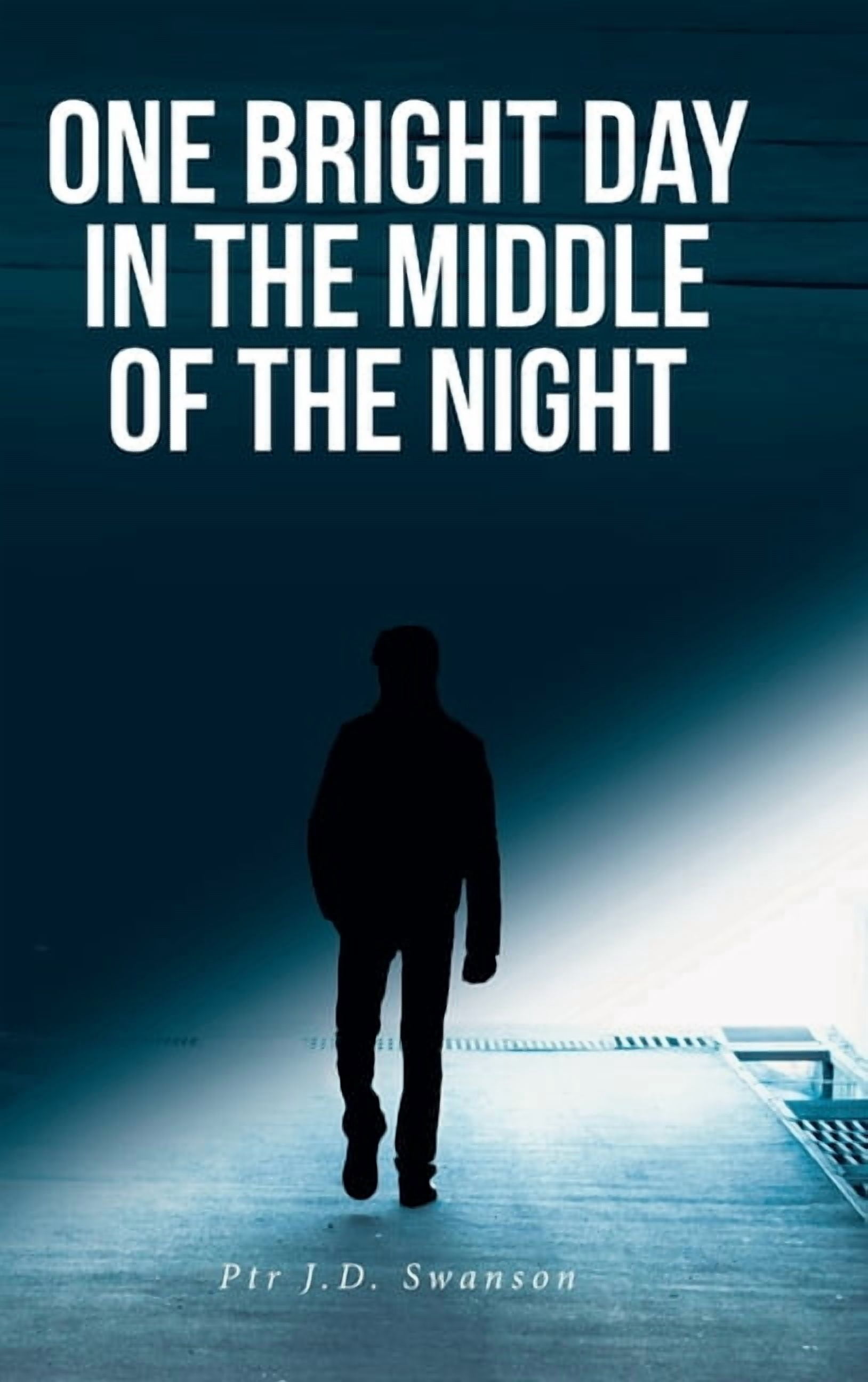 One Bright Day in the Middle of the Night, (Hardcover) - Walmart.com